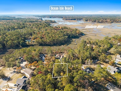 3068 River Hills Dr SW, Shallotte, NC 28470 - photo 2