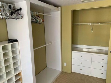 Primary walk-in closet.