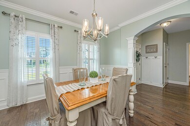 249WeepingCypress008