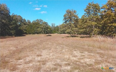 2565 Five Mile & Hwy 95 Rd, Flatonia, TX 78941 - photo 7