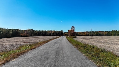 5661 Longview Dr, Kenbridge, VA 23944 - photo 7