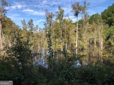 0 Old MacOn Rd unit 20156110, Dublin, GA 31021 - photo 6