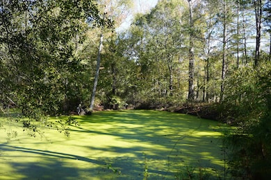 TBD Mississippi 15, Mathiston, MS 39752 - photo 5