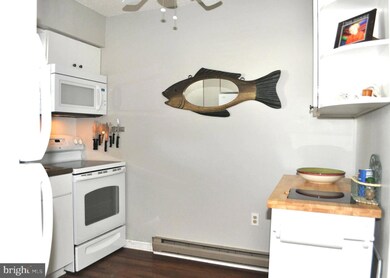 2818 Plover Dr unit 6A1, Ocean City, MD 21842 - photo 6