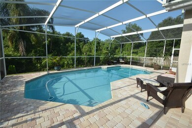 CUSTOM POOL OVERLOOKING CONSERVATION AREA