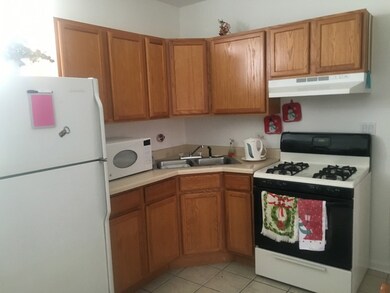 5543 W Barry Ave unit 2, Chicago, IL 60641 - photo 3