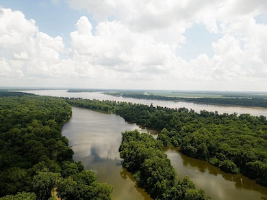 Norfolk Landing Rd, Lake Cormorant, MS 38641 - photo 5