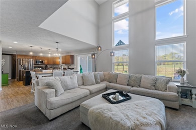 3835 Linda Way, New Waterford, OH 44445 - photo 4