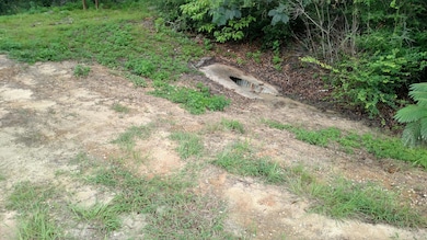 IMG_20170822_105318827_HDR