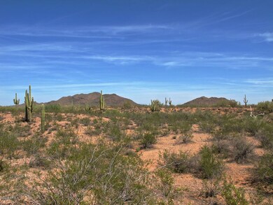 Land Photo #4