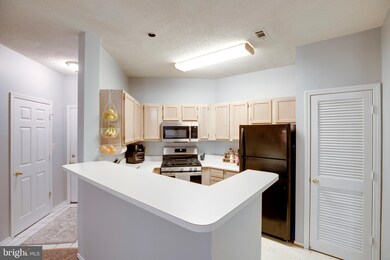 13089 Autumn Woods Way unit 101, Fairfax, VA 22033 - photo 5