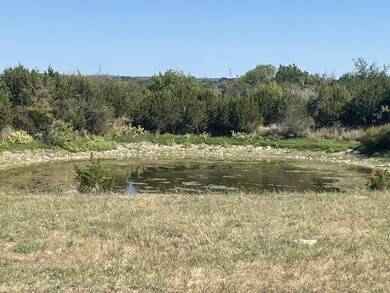 238 Martin Trail, Granbury, TX 76049 - photo 4