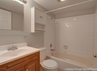 Lower Level Bath