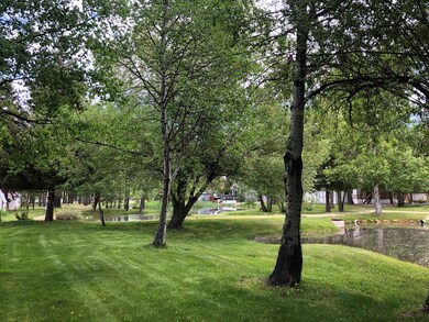 Beautiful back yard views