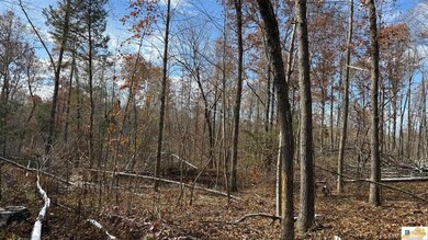 0 Gaddie Cottrell unit SC47484, Bonnieville, KY 42713 - photo 5