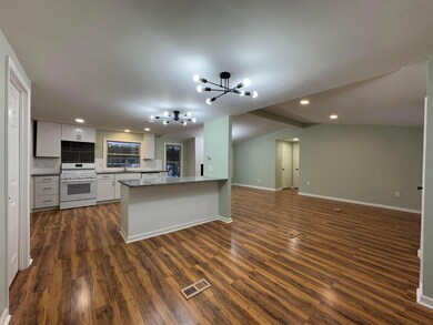 Kitchen and Dining Room All Open Concept