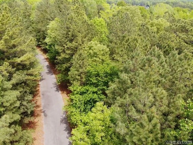 0 Pine Top Dr unit 131760, Valentines, VA 23887 - photo 5