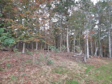 Perfect spot to build a home overlooking the pond
