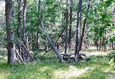 00000 Leisure Loop, Webber Township, MI 49304 - photo 5