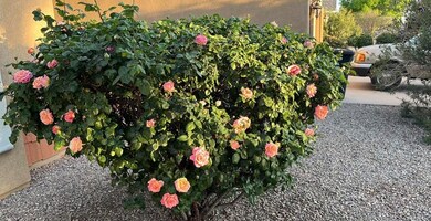 307 Coronado Dr, Alamogordo, NM 88310 - photo 5