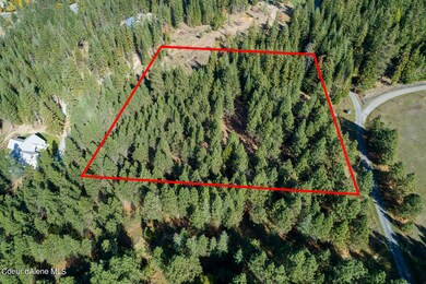 Aerial_FrostyPine-7_Outlined