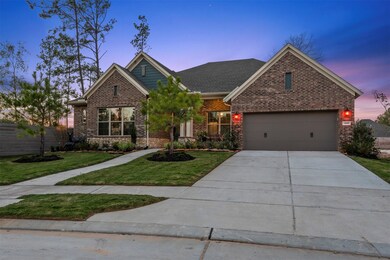 15403 Sun Rose St, Conroe, TX 77302 - photo 3