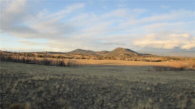 37 Antelope Way, Como, CO 80432 - photo 3