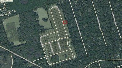 278 Tillis Ln, Crawfordville, FL 32327 - photo 5