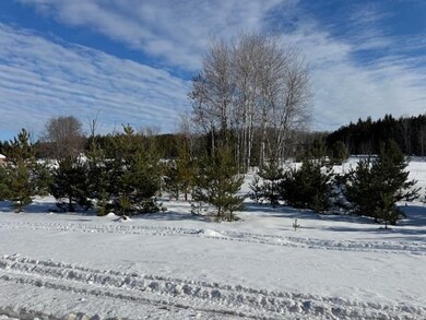 TBD S Us 131, Boyne Falls, MI 49713 - photo 6