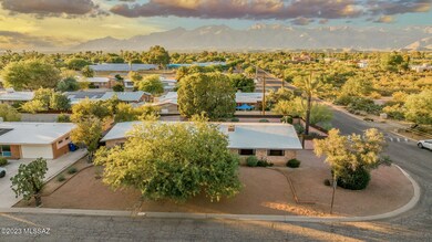 Premium .25 acre corner lot