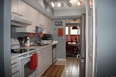 59 Amity Place, Amherst, MA 01002 - photo 7