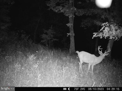 0 Apple Harvest Dr unit WVBE2021352, Cherry Run, WV 25427 - photo 2