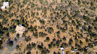 Drone Shot