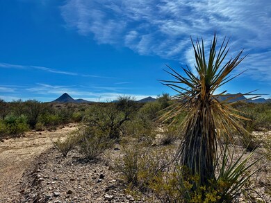 622 Marathon Rd, Terlingua, TX 79852 - photo 4