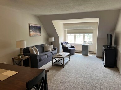 28 Packard Rd unit 633, Waterville Valley, NH 03215 - photo 4