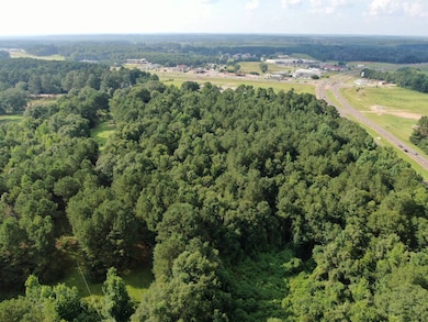 19860 Mississippi 21, Philadelphia, MS 39350 - photo 3