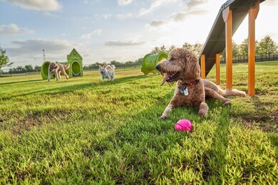 25211 Aster Hills Ln, Katy, TX 77493 - photo 6