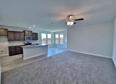 517 Smart Strike Trail, Granbury, TX 76049 - photo 3