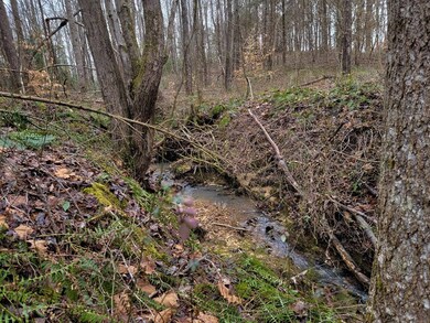 145 Joe Harris Ln, Cookeville, TN 38506 - photo 7