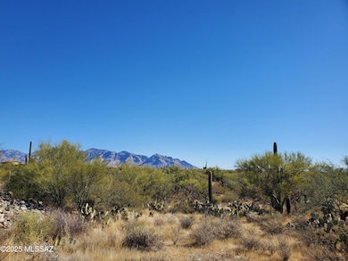 Catalina Mts