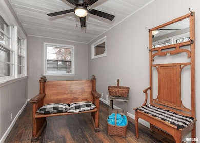 213 N Williams St, Geneseo, IL 61254 - photo 7