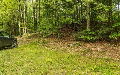 00 Mellish Rd, Alstead, NH 03602 - photo 6