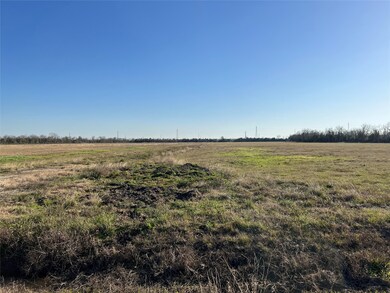 Lot 17 Rymal Ranch Rd, Algoa, TX 77511 - photo 5