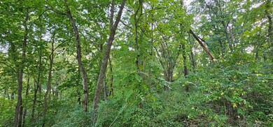 TBD Village Rd, City of Rushford Village, MN 55971 - photo 7