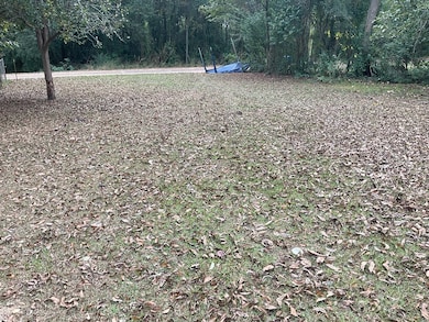 103 S Bolling Ave, Luverne, AL 36049 - photo 3