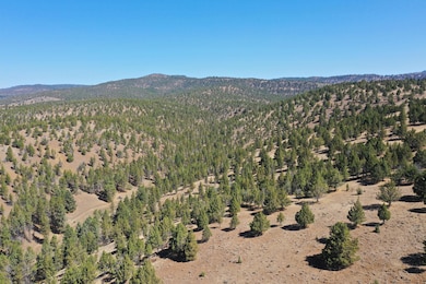 0 Tl 2400 Wiley Creek Rd, Mount Vernon, OR 97865 - photo 6