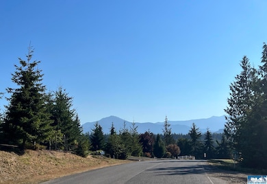 NKA Phillips Pkwy, Port Angeles, WA 98362 - photo 3