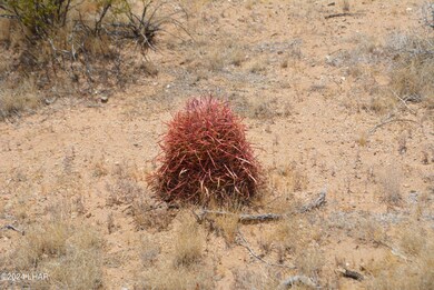 4 Lots Mohave Rd, Yucca, AZ 86438 - photo 5