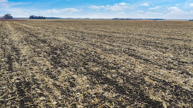 26-109-46W Verdi Twp Lincoln Co Mn, Pipestone, MN 56164 - photo 6