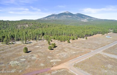 DJI_0004
